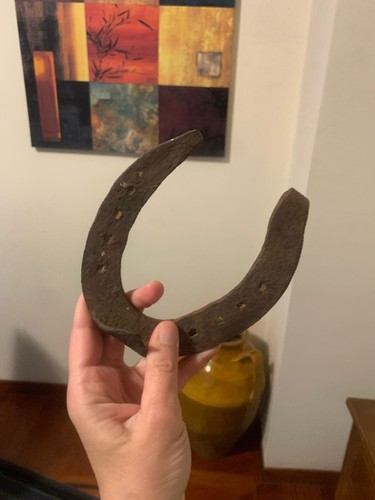 Ferro cavallo bello vintage - cavallo,