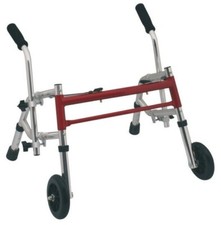 Deambulatore 2 Ruote per