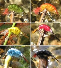 Mosche Gilchrist. 3 GAMBERI PULCI DI TORRENTE / GAMBERETTI. Colore e taglia a scelta