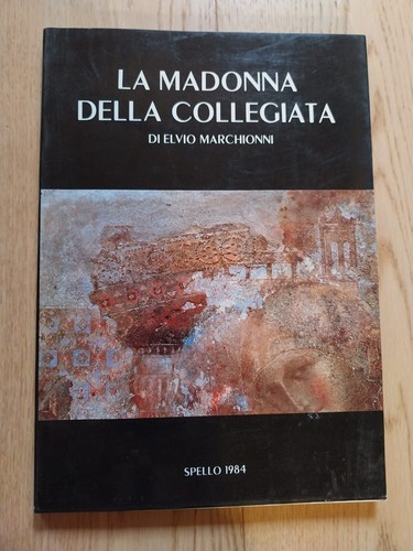 Libro madonna della - libro:,