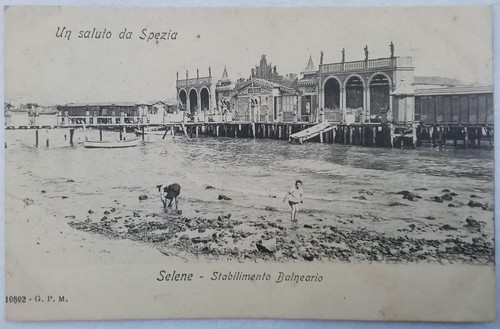 Cartolina saluti spezia - saluti, da