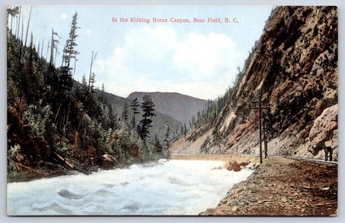 Cartolina antica canada - antica, campo