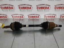 Semialbero completo anteriore