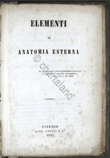 Medicina - Elementi di anatomia esterna - Ed. Lapi, Papini e C. 1857 - Tavole