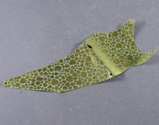 LEGO® Ninjago™ Ali di Drago