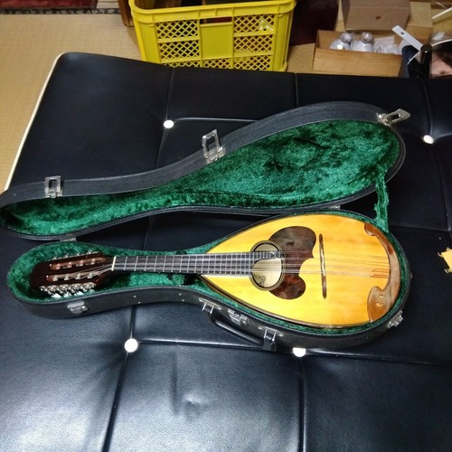 String instrument mandolin