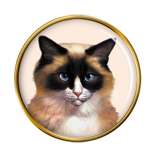 Gatto ragdoll distintivo - gatto,