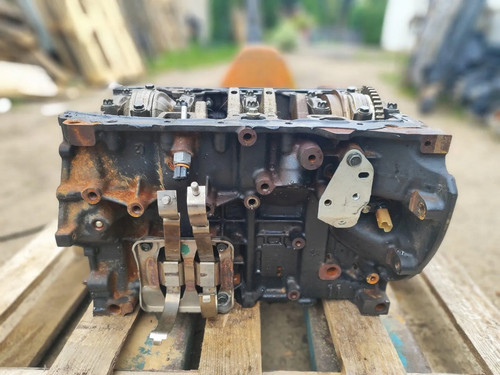 Blocco motore nissan trail i - nissan,
