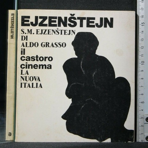 Castoro cinema ejzenstejn - castoro,