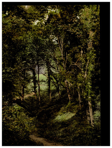 Angleterre hastings - angleterre.,