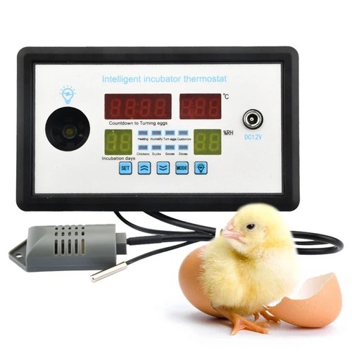 Regolatore incubatrice uova - incubatrice,