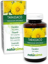 Tarassaco (Taraxacum