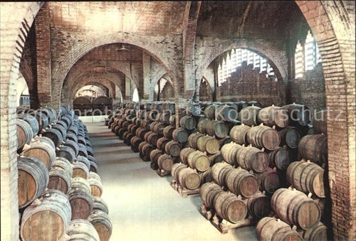 Cantina vino cavas codorniu - cantina,