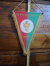 Gagliardetto ternana calcio - gagliardetto,