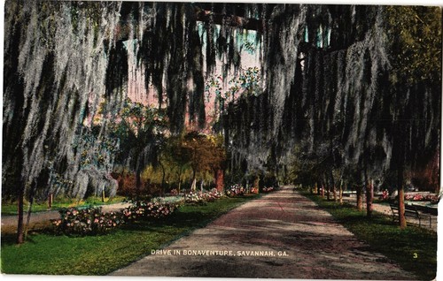 Cartolina drive bonaventure - drive,