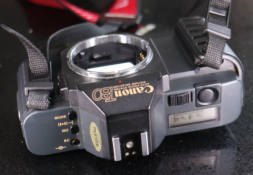 Canon t80 fotocamera pellicola - canon,