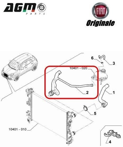 Manicotto inferiore radiatore - inferiore,