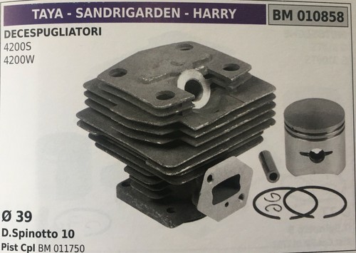 Cilindro completo pistone e - di,