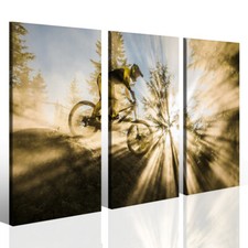 Stampa Su Tela - Downhill