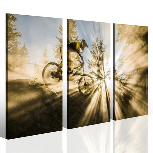 Stampa tela downhill - tela,