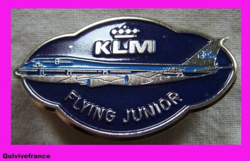 Bg1303 insigne badge flying - -,
