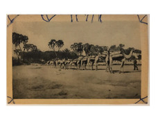 ERITREA - CAROVANA - ANNO 1936 - VIAGGIATA