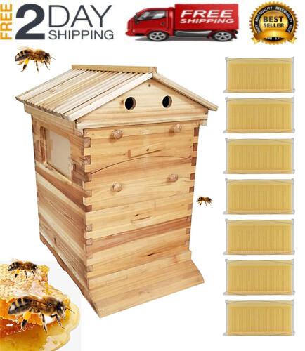 Scatole legno per - in, alveari