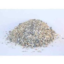 Gusci d'Ostrica e conchiglie