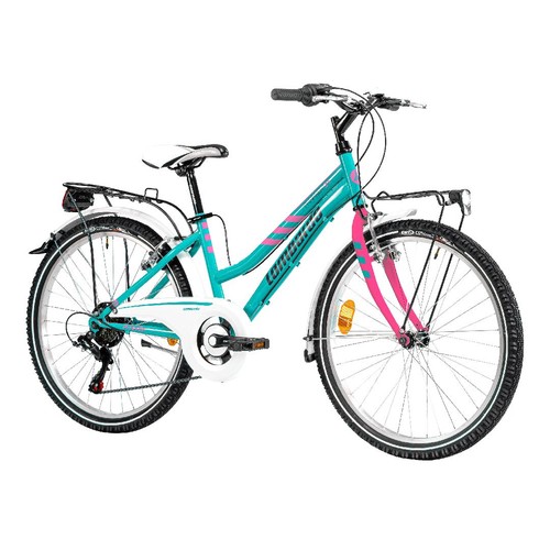 Bici bicicletta mountabike - bici,