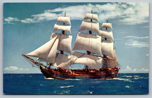 The bounty san pietroburgo - bounty,