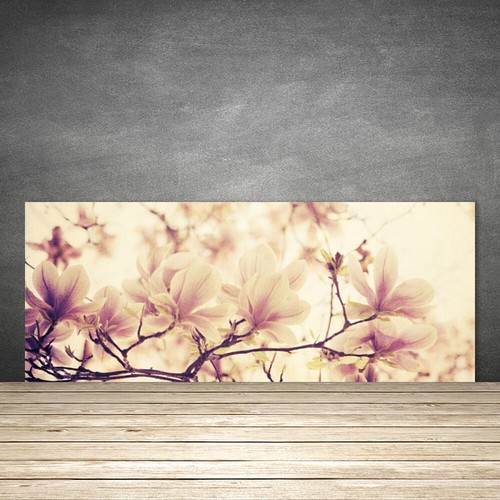 Paraschizzi cucina 125x50 - paraschizzi,