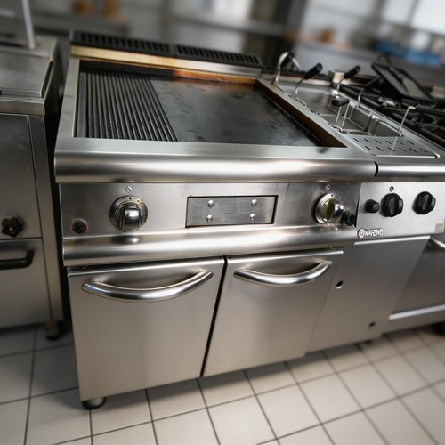 Griglia professionale frytop - griglia,