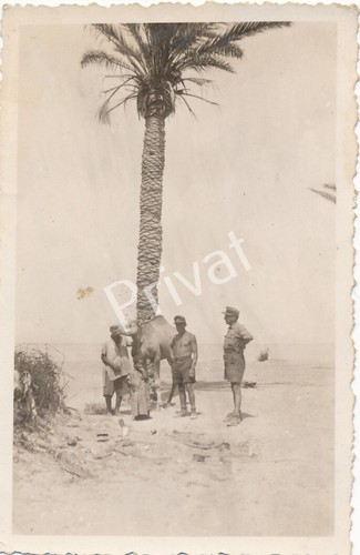 Foto seconda guerra - , mondiale