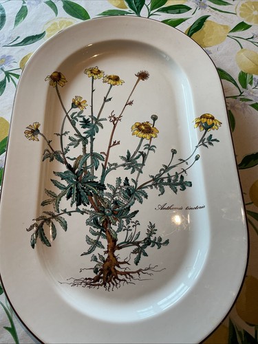 Piatto ovale villeroy boch - piatto,