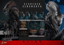 Hot Toys MMS784 Alien Romulus