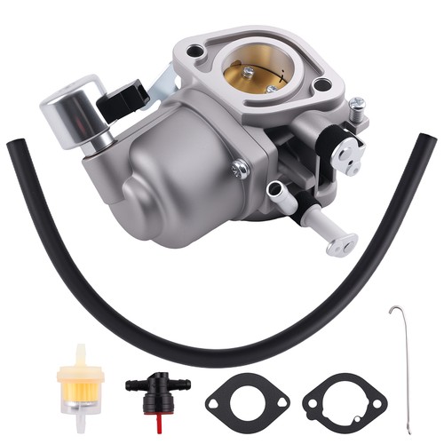 595216 kit carburatore - 595216,