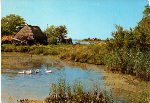 134 1970 grado - 134,