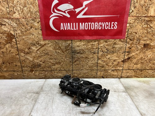 2005 2006 suzuki - 05,