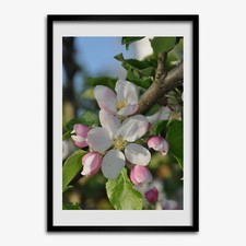 Tulup picture mdf framed wall - mdf,