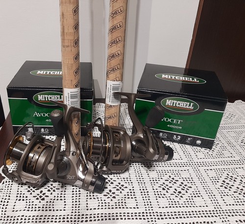 Coppia canna pesca mitchell - pesca,