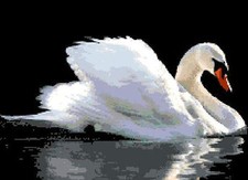SCHEMA SCHEMI PUNTO CROCE RICAMO QUADRO CIGNO SWAN DMC CROSS STITCH PATTERN