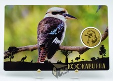 Kookaburra - Australia's Big 5