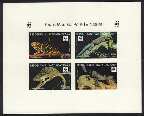 Madagascar wwf gechi - madagascar,