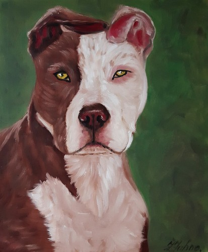Pittura cane animale - , domestico