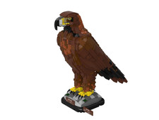 Pro 108207 – Aquila Dorata