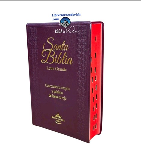 Biblia letra grande puntos - biblia,