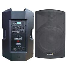Altoparlante 15" PA alimentato 4000 Watt altoparlante karaoke chiesa con Bluetooth USB TWS SD
