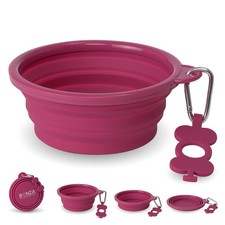 Bonza Large Collapsible Dog