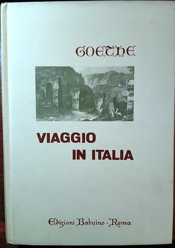 Libro viaggio italia - libro, in