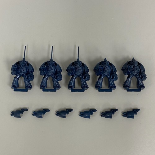 Space hulk terminators - terminators,